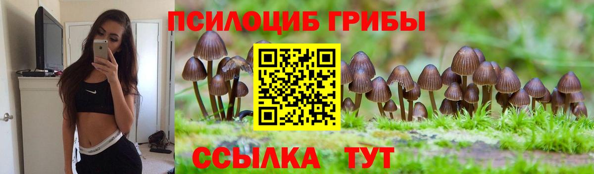 Кингисепп  Галлюциногенные грибы прущие грибы  Вход с VPN 